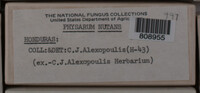 Physarum nutans image